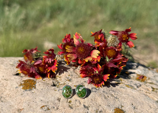 Simple Sonoran Gold Studs