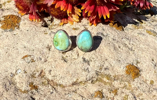 Simple Sonoran Gold Studs