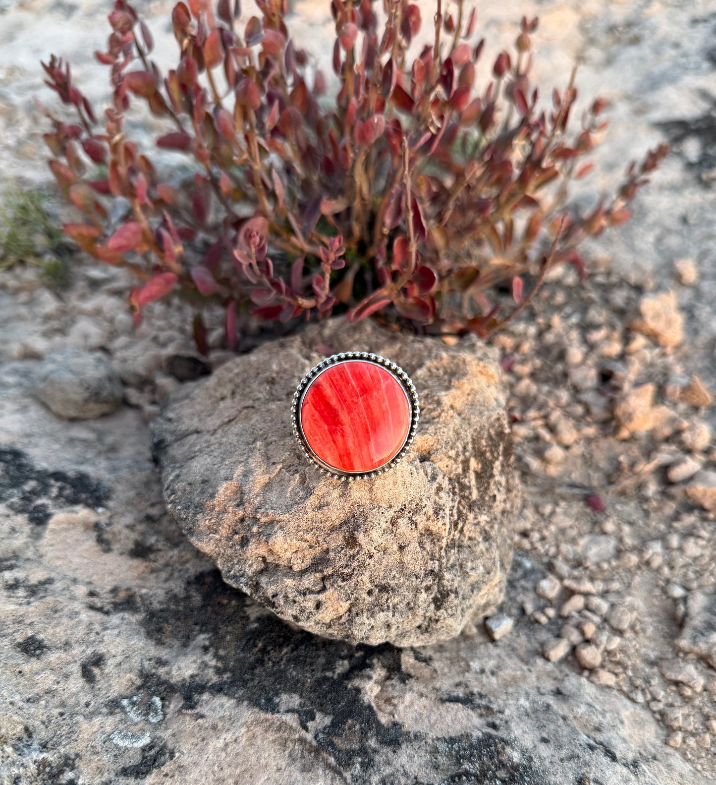Red Spiny Oyster Statement Ring Size 9