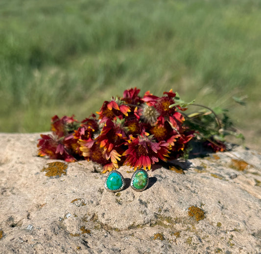 Simple Sonoran Gold Studs