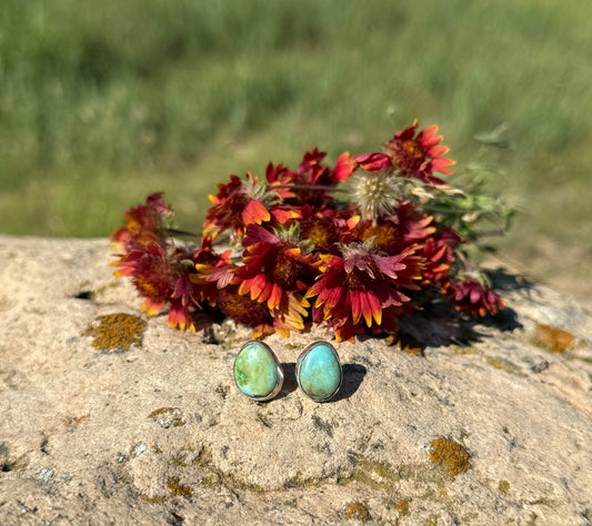 Simple Sonoran Gold Studs