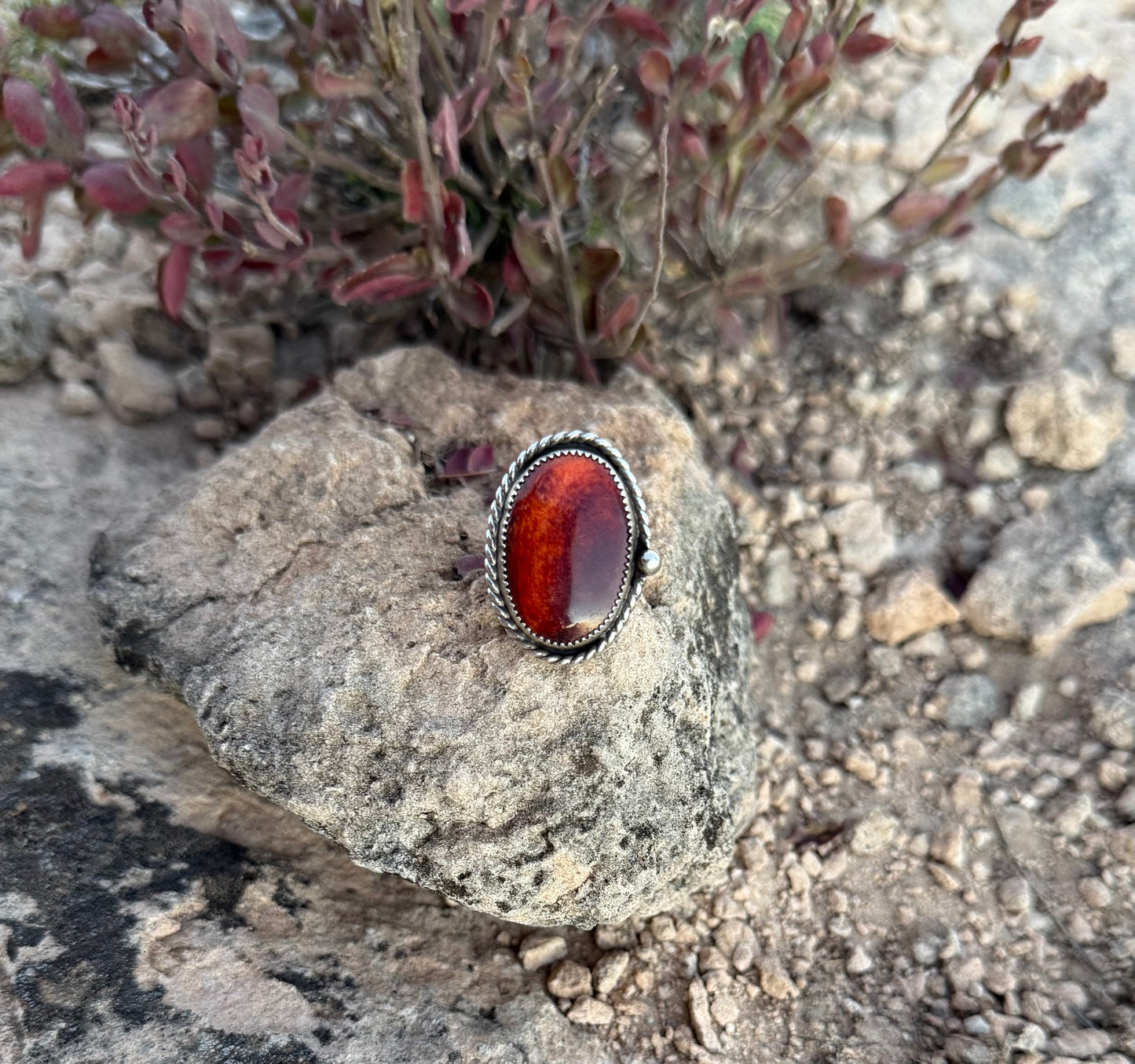 Spiny Oyster Ring Size 7