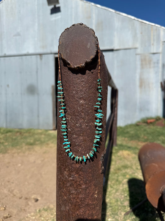 Turquoise Necklace